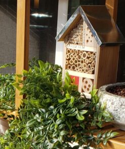 Niteangel Natural Wooden Insect Hotel, Garden Insect House for Ladybugs, lacewings, Butterfly, Bee, Bug 10 x 6 x 3.4 inch Red 30 71WL16kh5mL