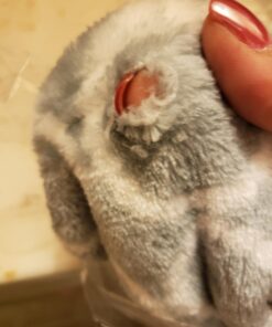 Hudson Baby Unisex Baby Animal Face Security Blanket, Elephant, One Size 25 71WLahhIFBL