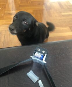 PetSafe Gentle Spray Bark Collar for Dogs, Citronella, Anti-Bark Device, Water Resistant,black and sliver,Adjustable Original 27 71WLdT9THL