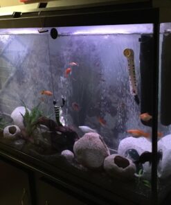 SunSun JUP-01 9W UV Sterilizer Submersible Filter Pump 54 71WVb51CNgL