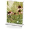 Officemate - OIC23005 Upright Vertical Sign Holder, 8.5 x 11 Inches, Clear, 1 Holder (23005) 56 71WXTyKGO5L