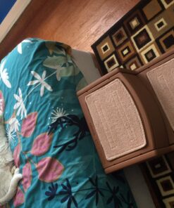 Pet Gear Easy Step II Pet Stairs, 2 Step For Cats/Dogs Up To 75-Pounds, Portable, Removable Washable Carpet Tread, No Tools Required, Available In 4 Colors,Light Cocoa Light Cocoa 21 71WYzLY9FnL