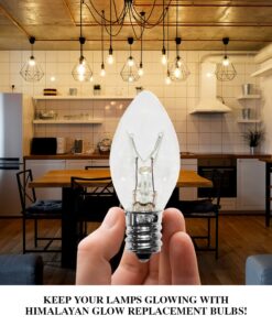 Salt Lamp Light Bulbs, Himalayan Salt Lamp Replacement Bulbs 15 Watt Incandescent Light Bulbs -12 Pack 14 71Wa z4LFiL