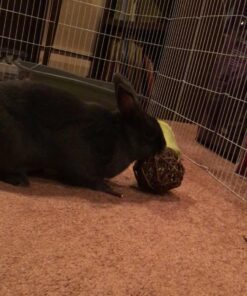 Ware Manufacturing Willow Branch Ball for Small Animals - 4-inch 1-Pack 21 71Wb72z8kYL