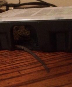 Tomcat Mouse Killer II, 4-Pack (Kid Resistant Disposable Mouse Bait Station) 9 71We1vBUfQL