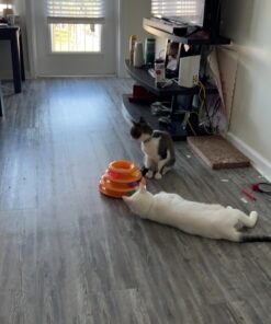 Catstages Tower of Tracks Interactive 3-Tier Cat Toy 24 71We5QWz3L