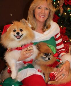 Rubie's Adult Elf Shoes One Size Multicolor 10 71Wfbc spJL