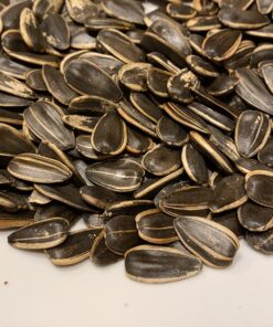 GERBS Jumbo Raw Whole Sunflower Seeds, 32 ounce Bag, Unsalted, Top 14 Food Allergen Free, Non GMO, Vegan, Keto, Paleo Friendly 2 Pound (Pack of 1) 25 71WlYnBauuL