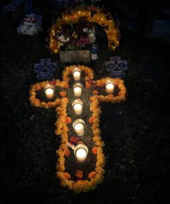 AMIR Upgraded Solar String Lights Outdoor, 8 Modes Mini 39Feet 120 LED Copper Wire Lights, Solar Powered Fairy Lights, Waterproof Decoration Lights for Garden Yard Party Wedding Christmas (Warm White) Warm White 35 71WmJfUZddL