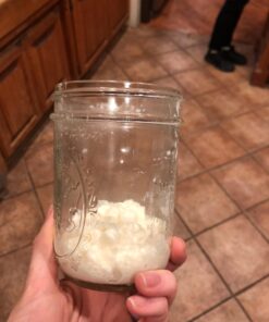 Live Milk Kefir Grains - Live Probiotic Culture Mr. and Mrs. Kefir Instructions 31 71WpDW06kdL