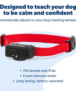 PetSafe Basic Bark Control Collar for Dogs 8 lb. and Up, Anti-Bark Training Device, Waterproof, Static Correction, Canine - Automatic Dog Training Collar to Decrease Barking, PBC-102 24 71WvsoyRclL