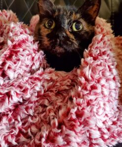 Advantage II Small Cat Vet-Recommended Flea Treatment & Prevention | Cats 5-9 lbs. | 6-Month Supply 6 Pack Small Cat only 32 71WwPGu07 L