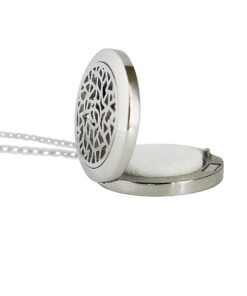 Coral Bliss Essential Oil Diffuser Necklace with Leakproof Locket - Hypoallergenic 316L Surgical Grade Stainless Steel 25mm Aromatherapy Jewelry (2 Chain Designs, 5 Reusable Pads, Microfiber Pouch) Traditional 11 71WwSVx7VL