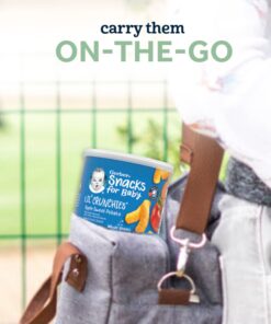 Gerber Lil Crunchies Variety Pack, 2 Garden Tomato, 2 Apple Sweet Potato, 2 Mild Cheddar, 1.48 OZ each (6 CT) Variety Pack (3 Flavors) Pack of 6 18 71Wwu4usvpL