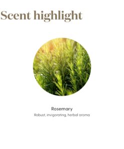 Rosemary Essential Oil 15ml by Young Living Essential Oils Rosemary 0.51 Fl Oz (Pack of 1) 13 71Wxvq7VGUL