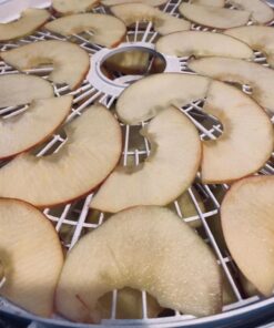 NESCO FD-75A Snackmaster Pro Food Dehydrator, For Snacks, Fruit, Beef Jerky, Gray 69 71X OObnrL