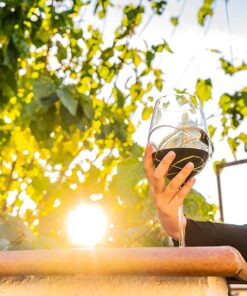 Antoni Barcelona Large Wine Glasses (29 Oz) – EXCLUSIVE BOX - Handblown & Handmade, Painted Red Wine Glass, Gifts for Women, Birthdays, Anniversaries, and Weddings (Gold,2 unit) Exclusive Box Gold 2 13 71X b2ewilL