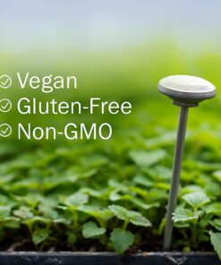 Herb Pharm Certified Organic Licorice Liquid Extract for Endocrine System Support - 1 Ounce (DLIC01) 14 71X0FH8OyKS 1