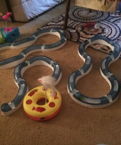 Catit Design Senses Speed Circuit 16 71X26w9iiPL