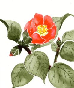 Akashiya CA200/20V Sai Watercolor Brush Pen - 20 Color Set (1, DESIGN 1) 52 71X2Ggf wIL