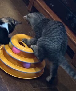 Catstages Tower of Tracks Interactive 3-Tier Cat Toy 26 71X2o wQmZL