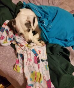 Puritan's Pride Lutein 40 Mg With Zeaxanthin Softgels, 120 Count 120 Count (Pack of 1) 19 71X5f0rkIqL