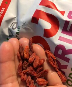 Organic Dried Goji Berries - Non-GMO and Vegan Goji Berries Organic, Perfect for Baking, Teas and Healthy Snacks for Adults (1 lb) 1 Pound (Pack of 1) 31 71X6E39J0jL