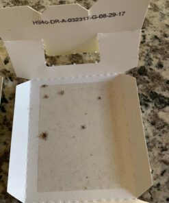 Harris Bed Bug Early Detection Glue Traps (4/Pack) 4 Traps 39 71X7uHvnRxL