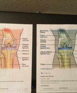 Smart Ink Compatible Ink Cartridge Replacement for HP 564 XL 564XL High Yield 10 Combo Pack (2 Black, 2PBK & 2 C/M/Y) for Photosmart 6525 6520 7520 5520 7510 5510 7525 DeskJet 3520 3522 OfficeJet 4620 44 71XAJJJ6y4L