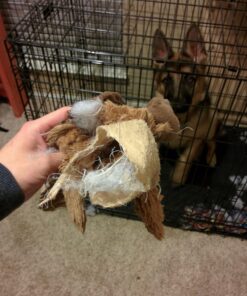 KONG Cozie Marvin Moose, Indoor Cuddle Squeaky Plush Dog Toy for Medium Dogs, Brown, 1 32 71XAK0OPzjL