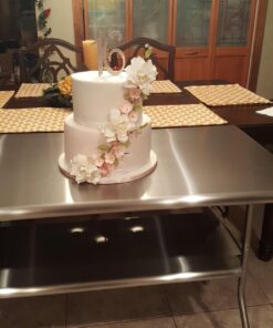 Royal Gourmet Commercial Stainless Steel Double-Shelf Folding Work Table, 48" L x 24" W 31 71XH85MTftL