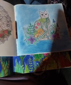 Prismacolor 962 Premier Colorless Blender Pencils, 2-Count 2 Count (Pack of 1) 30 71XIrfGLzL