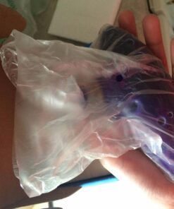 TOTMC Legend of Zelda Ocarina of Time Triforce Link 12 Hole Alto C Mediant Tone Ocarina Zelda Cosplay Ceramic Replica + Textbook Blue,Gold,Silver 54 71XKM14TIHL