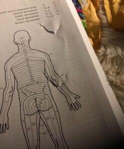 Anatomy Coloring Workbook, 4th Edition: An Easier and Better Way to Learn Anatomy Paperback, Coloring Book 19 71XLQTATRgL