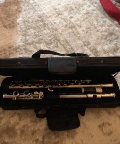 Mendini By Cecilio Flutes - Closed Hole C Flute For Beginners, 16-Key Flute with a Case, Stand, Lesson Book, and Cleaning Kit, Musical Instrument for Kids, Nickel Plated 21 71XRbwfWuWL