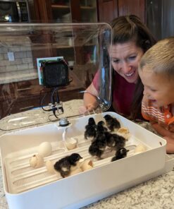 IncuView™ All-in-One Automatic Egg Incubator and Brooding Ultimate Combo Kit 15 71XS3xTmxGL