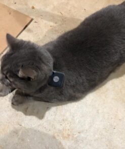 Tile Slim (2016) Accessory Bundle - Discontinued by Manufacturer 45 71XSMLc6iPL