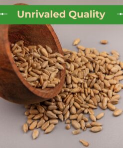 Sincerely Nuts Organic Sunflower Seed Kernels Raw (No Shell) (1lb bag) | Nutritious Antioxidant Rich Superfood Snack | Source of Protein, Fiber, Essential Vitamins & Minerals | Vegan and Gluten Free 1 Pound (Pack of 1) 13 71XSt6 x4zL