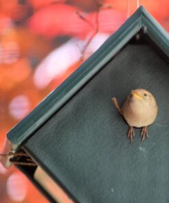 Songbird Essentials Recycled Plastic Wren House 6 71XSzpf ZKL