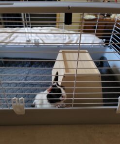 Living World - Deluxe Hybrid Habitat, X-Large - Rabbit, Guinea Pig, Chinchillas, and Small Animal Cage 46.9"L x 22.8"W x 24.0"H Standard Packaging 29 71XT9psg1IL