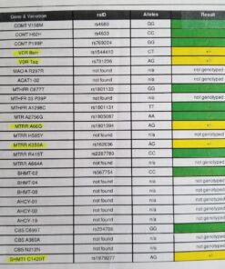 23andMe Ancestry Service - DNA Test Kit with Personalized Genetic Reports Including Ancestry Composition with 2750+ Geographic Regions, Family Tree, DNA Relative Finder and Trait Reports 41 71XUr13vh4L