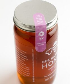 BEE HARMONY American Berry Honey, 12 OZ 14 71XYBoktCXL