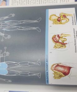 Becoming a Supple Leopard 2nd Edition: The Ultimate Guide to Resolving Pain, Preventing Injury, and Optimizing Athletic Performance 25 71Xf5Cb9erL
