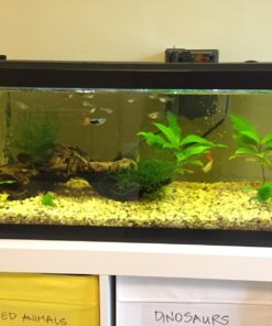 Seachem Indoor Purigen Organic Filtration Resin - Fresh and Saltwater 100 ml 45 71Xg2lolLHL