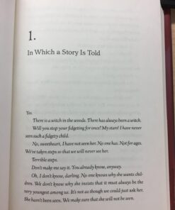 The Girl Who Drank the Moon (Winner of the 2017 Newbery Medal) Hardcover 23 71XgTtl73L