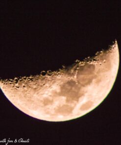 Opteka 500mm/1000mm f/8 Manual Telephoto Lens for Nikon F-Mount D6, D5, D4, DF, D850, D810, D780, D750, D700, D610, D500, D7500, D7200, D7100, D5600, D5500, D5300, D5200, D3500, D3400, D3300, D3200 51 71XiexgqGKL