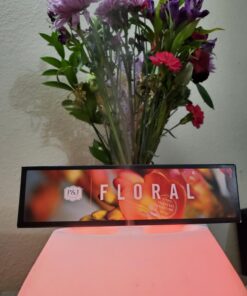 P&J Fragrance Oil Floral Set | Violet, Jasmine, Rose, Lilac, Freesia, and Gardenia Candle Scents for Candle Making, Freshie Scents, Soap Making Supplies, Diffuser Oil Scents 0.34 Fl Oz (Pack of 6) 32 71XircTXv8L