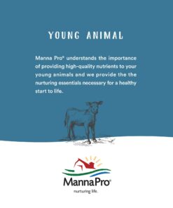 Manna Pro Coop 'N Compost | Chicken Coop, Manna Pro Chicken Supplies | 28 Ounces 17 71XiwQKnqxL