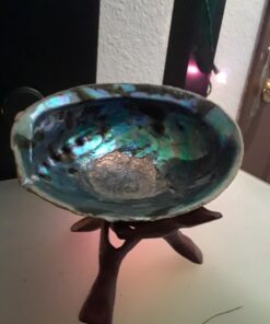 Natural Abalone (Pāua) Shell, with Stand,6-6.5 Inches,Supreme for Smudging,Cleansing Home,Meditation,Shell Crafts,Incense Holder,100% Natural, Sustainably Sourced by Ocean Shell Studios NZ 6"-6.5" 40 71Xrjqm0PL