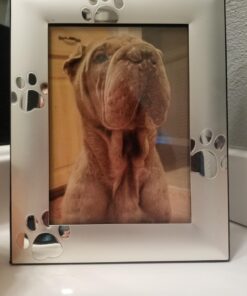 Skyway Puppy Dog Paw Print Pet Photo Picture Frame Silver - 5 x 7 21 71Xs0aPkpkL